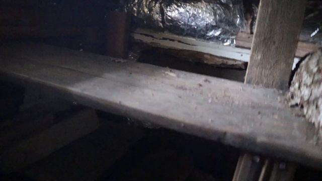 Баня на отцовской даче Четверг, 8 июня 2023 г смотреть онлайн