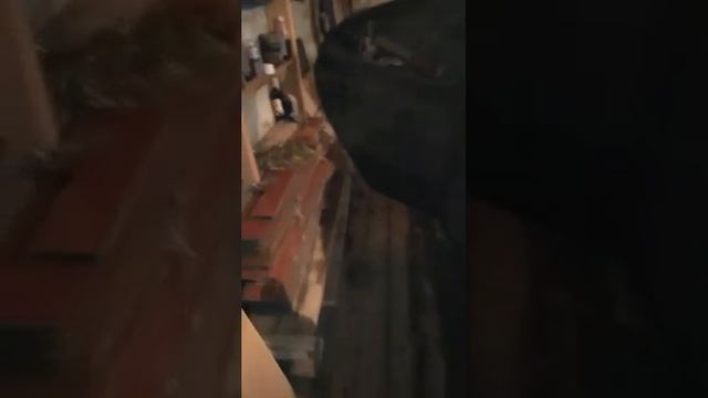 Хайма3 смотреть онлайн