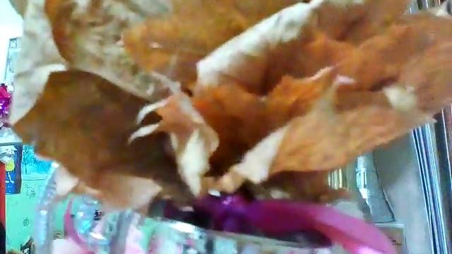 Обзор на мои медали кубки грамоты и депломы смотреть онлайн