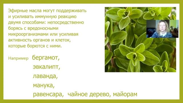 Эфирные масла чтобы поддержать и усилить иммунную реакцию. Рецепт аромасмеси при простуде. смотреть онлайн
