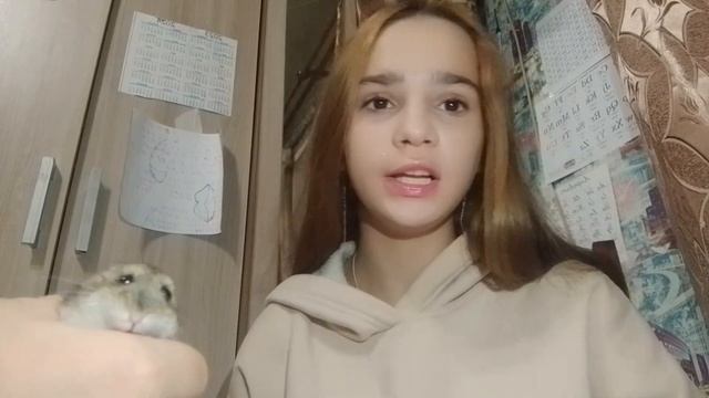 минусы и плюсы о джунгарских хомяках / какая пилка лучше? / какая клетка лучше?