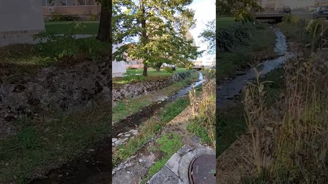 Дом над рекою смотреть онлайн