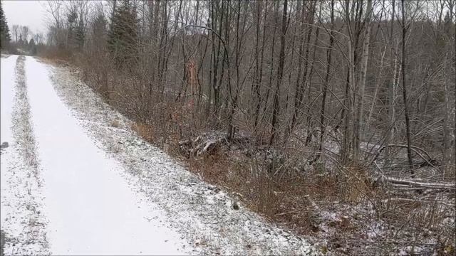Walking through some set locations on the marten trapline смотреть онлайн