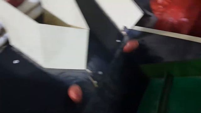 Линия по мойке, полировке, сушке, сортировке, упаковке, фасовке овощей, картофеля, моркови, свеклы смотреть онлайн