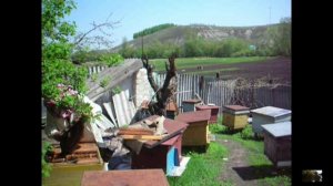 Пасека. 8.05.2011г.