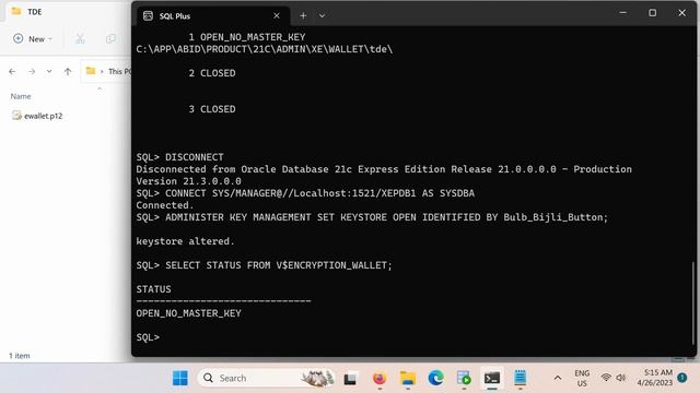 Encrypt Oracle Database Tables to Protect Data from Hackers - Transparent Data Encryption смотреть онлайн