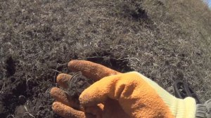 НА СТАРОМ УРОЧИЩЕ _ ГОЛД ХАНТЕР В75 _ ОБЗОР НОВИНКИ