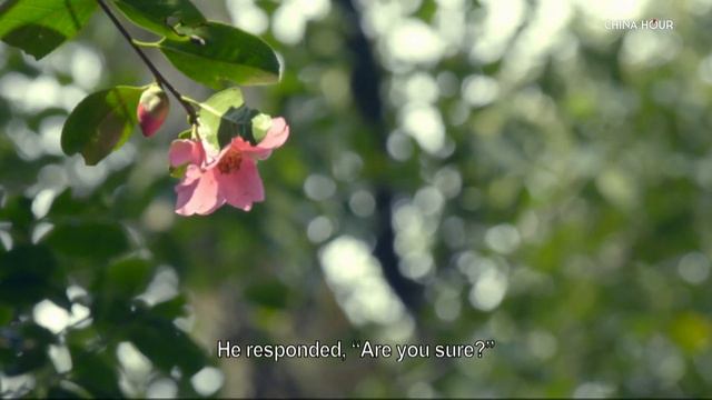 Signature Flowers of China | Ep1 Camellia | Part2 смотреть онлайн