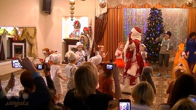 Лапушки. Новогодний утренник, 23.12.2015 (детский сад №2433)