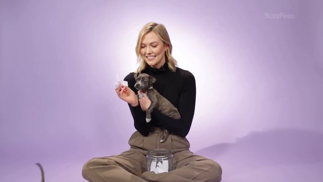Karlie Kloss Plays With Puppies While Answering Fan Questions смотреть онлайн
