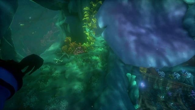 SoT: Shrine of Flooded Embrace Complete Guide (All Journal Locations) смотреть онлайн