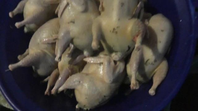 Ощипывание перепелов( ручное) и потрошение смотреть онлайн