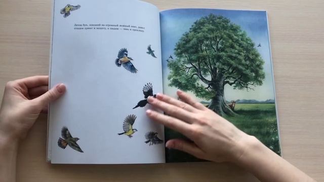 Маленькая берёзка (буктрейлер) смотреть онлайн