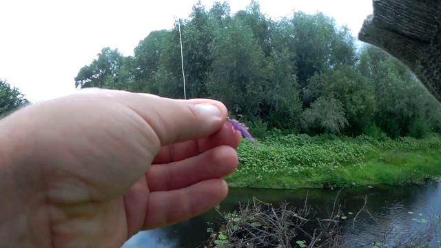 Наноджиг на старице р.Десна, с.Моровск Черниговской области смотреть онлайн