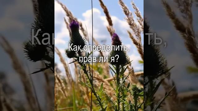 Про личную правоту человека: как определить, истинно ли ты прав смотреть онлайн