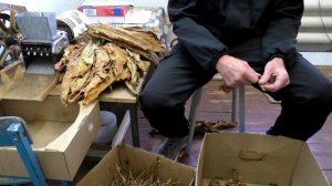 Табаководство: Ответы на вопросы зрителей и подписчиков моего канала.