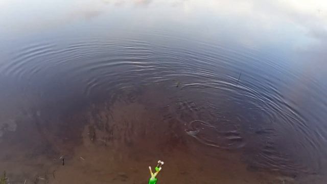 Ночная рыбалка на фидер - ловля леща на реке Вычегда смотреть онлайн