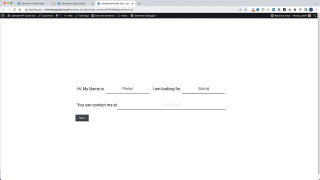 How to create a Conversational (Typeform-like/Alternative) Form | Elementor + PAFE смотреть онлайн