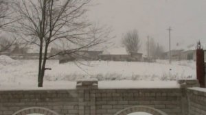 Световой  режим  при выращивании  бройлеров .