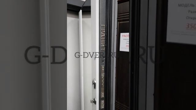 ГРАНИТ С9 с ЗЕРКАЛОМ (g-dveri.ru)