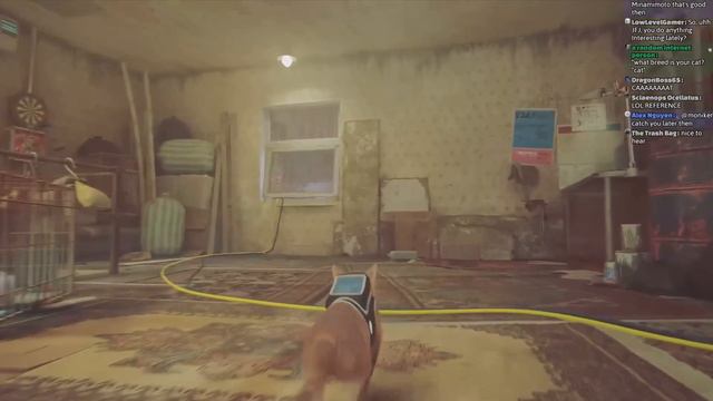 Stray is fun смотреть онлайн