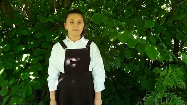 Таривердиева С. 