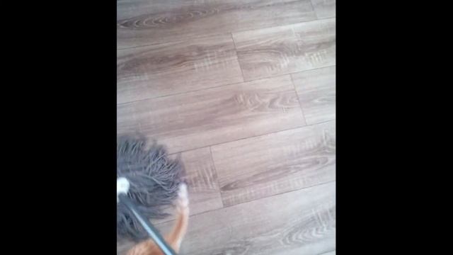 Помощник в мытье полов !!!!!! смотреть онлайн