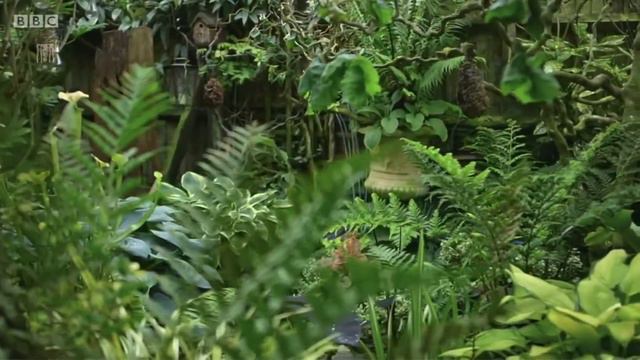 Gardeners World, 2020 Episode 16