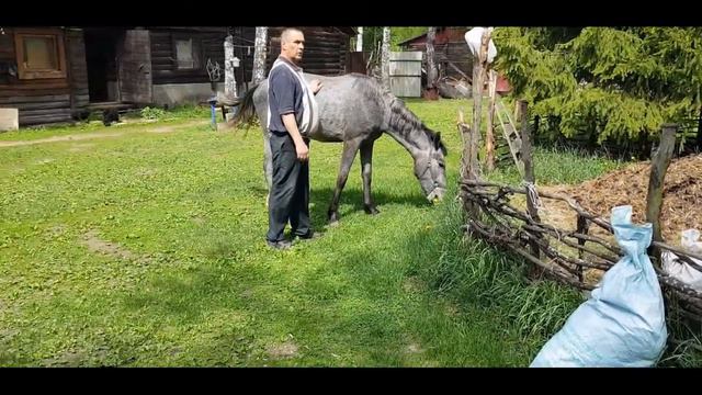 КОРМИМ ОВЕЧКУ/ЗНАКОМИМСЯ С ЖИВОТНЫМИ НА ФЕРМЕ!ЖИВОТНЫЕ И ДЕТИ,КУКУЗУМБА! смотреть онлайн