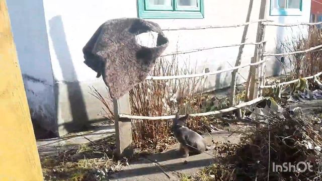 Один день тепла в марте 2023 года. смотреть онлайн