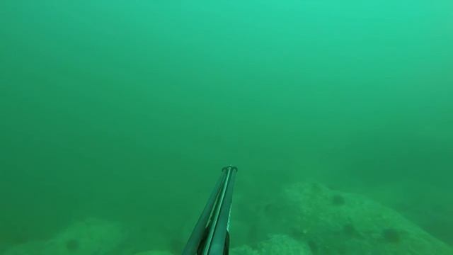 Подводная охота в Находке Рица 2016 смотреть онлайн