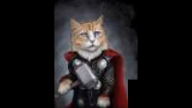 Котики супер герои смотреть онлайн