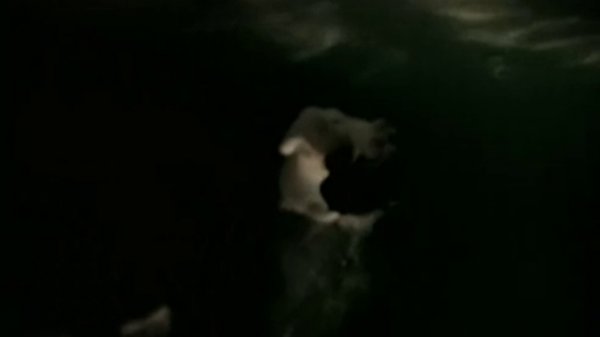 Simple Minds // Hypnotised