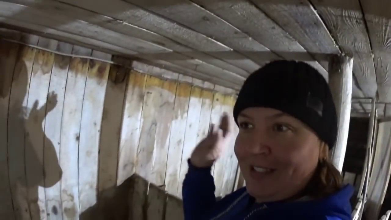 Вьетнамские поросята //Деревенская жизнь/ Сюжеты от Марии