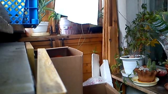 Рябиномет и как его собрать смотреть онлайн