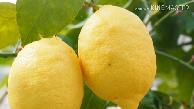 Продукты, которые следует употреблять для расширения сосудов после 50 лет. смотреть онлайн