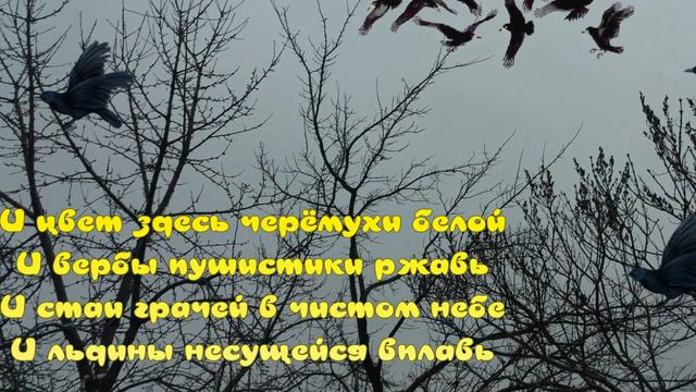 С ВЕСНОЙ! Красивое Музыкальное Поздравление.