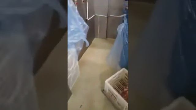 Филе окуня производство МаксиФиш смотреть онлайн