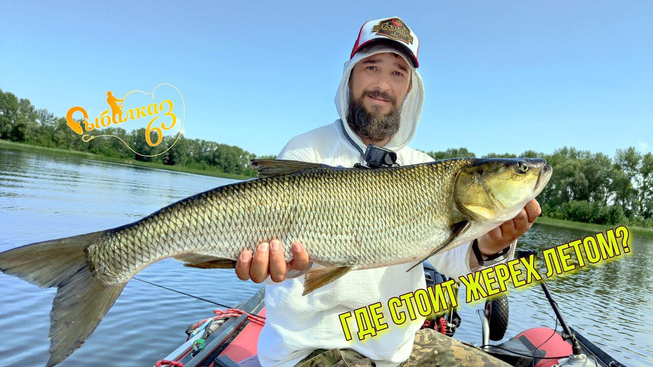 ВОТ ЭТО ТРОФЕЙ!!! НАШЛИ ГДЕ СТОИТ ГИГАНТСКИЙ ЖЕРЕХ. ВЫ НЕ ПОВЕРИТЕ НА ЧТО ЖЕРЕХ ВЗЯЛ смотреть онлайн