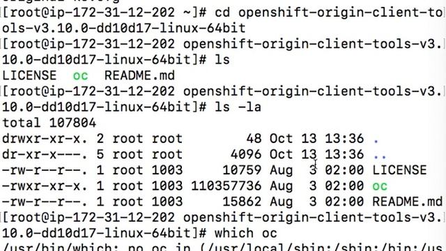 04 Install Docker OC Cluster смотреть онлайн