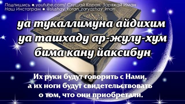 ? Слушаем суру Ясин Перед сном Праведные сны, Тихий СОН Бодрое начало дня красивое чтение корана смотреть онлайн