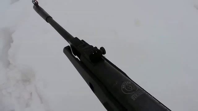 лучшие пневматические винтовки для охоты смотреть онлайн