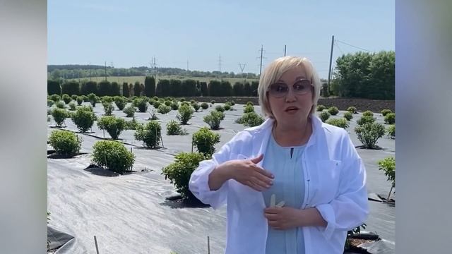 ПАРК ГОРТЕНЗИЙ (ЧАСТЬ ЧЕТВЁРТАЯ) смотреть онлайн