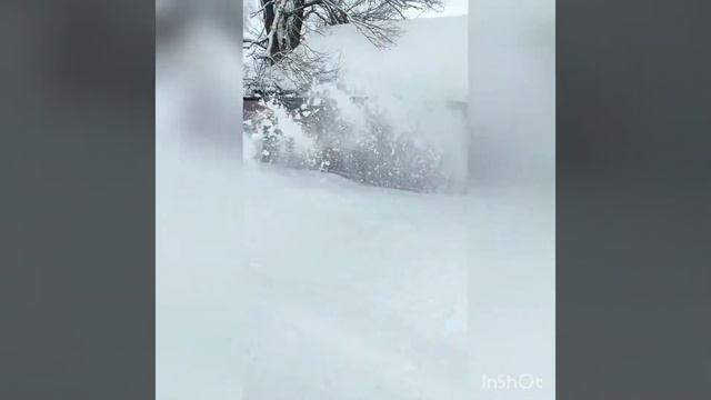 Кутаиси с приставкой снегоуборшик Goldoni