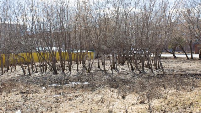 8714593 смотреть онлайн