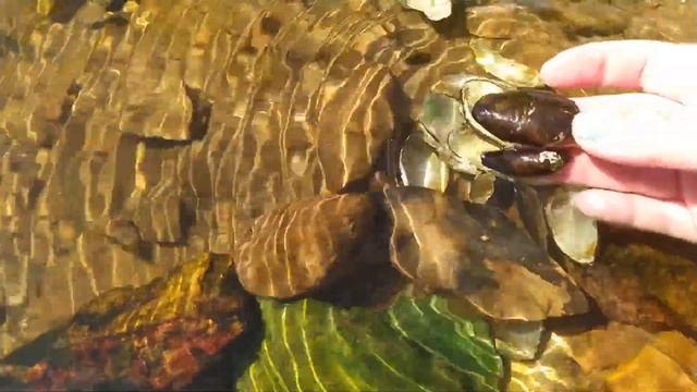 Собираю на Волге красивые камни. Расскажу куда их можно использовать смотреть онлайн