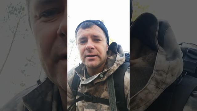 Своя ноша не тянет смотреть онлайн