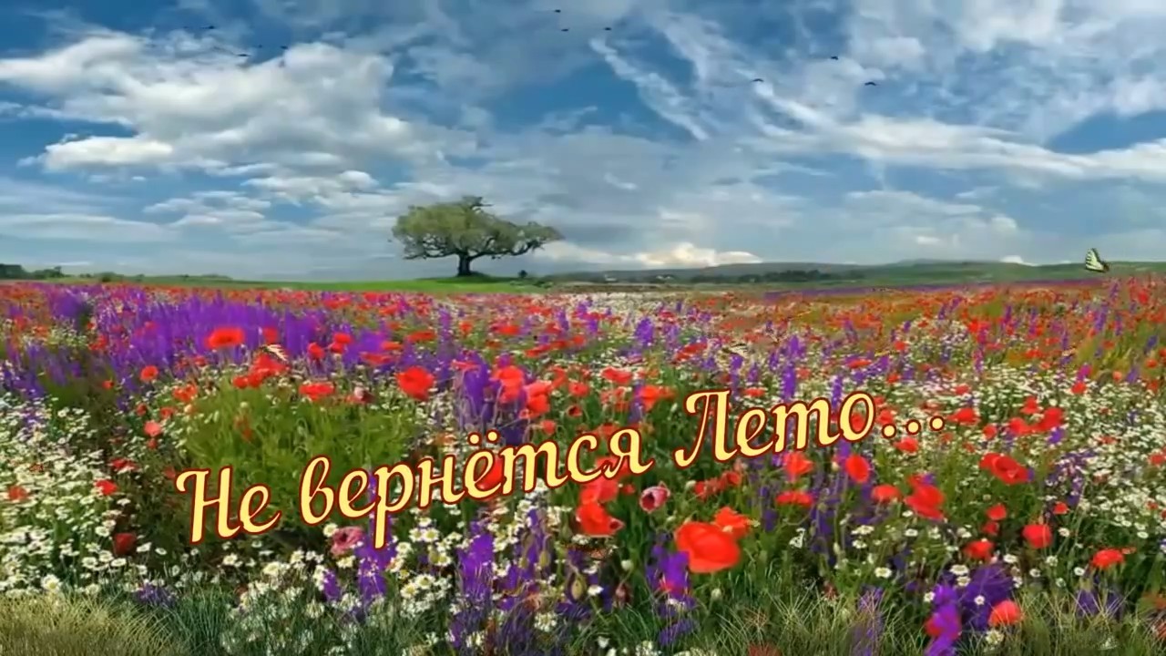 Сергей Ищенко-Не вернётся Лето.mp4 смотреть онлайн