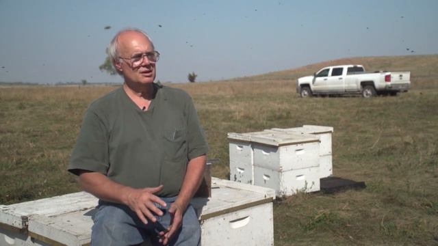 80 000+ Брет Эди - Репортаж о крупнейшем хозяйстве США "Эди Ханей Фармз" смотреть онлайн