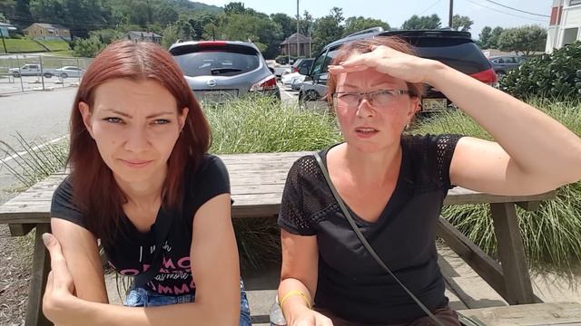 Приют для животных в Эшвилл. Где живут бездомные собаки и кошки в Америке. смотреть онлайн